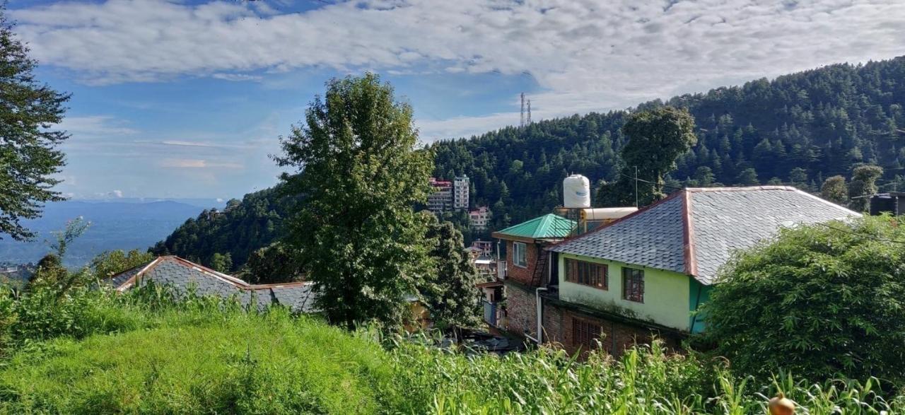 White Rabbit Guest House Dharamshala Buitenkant foto